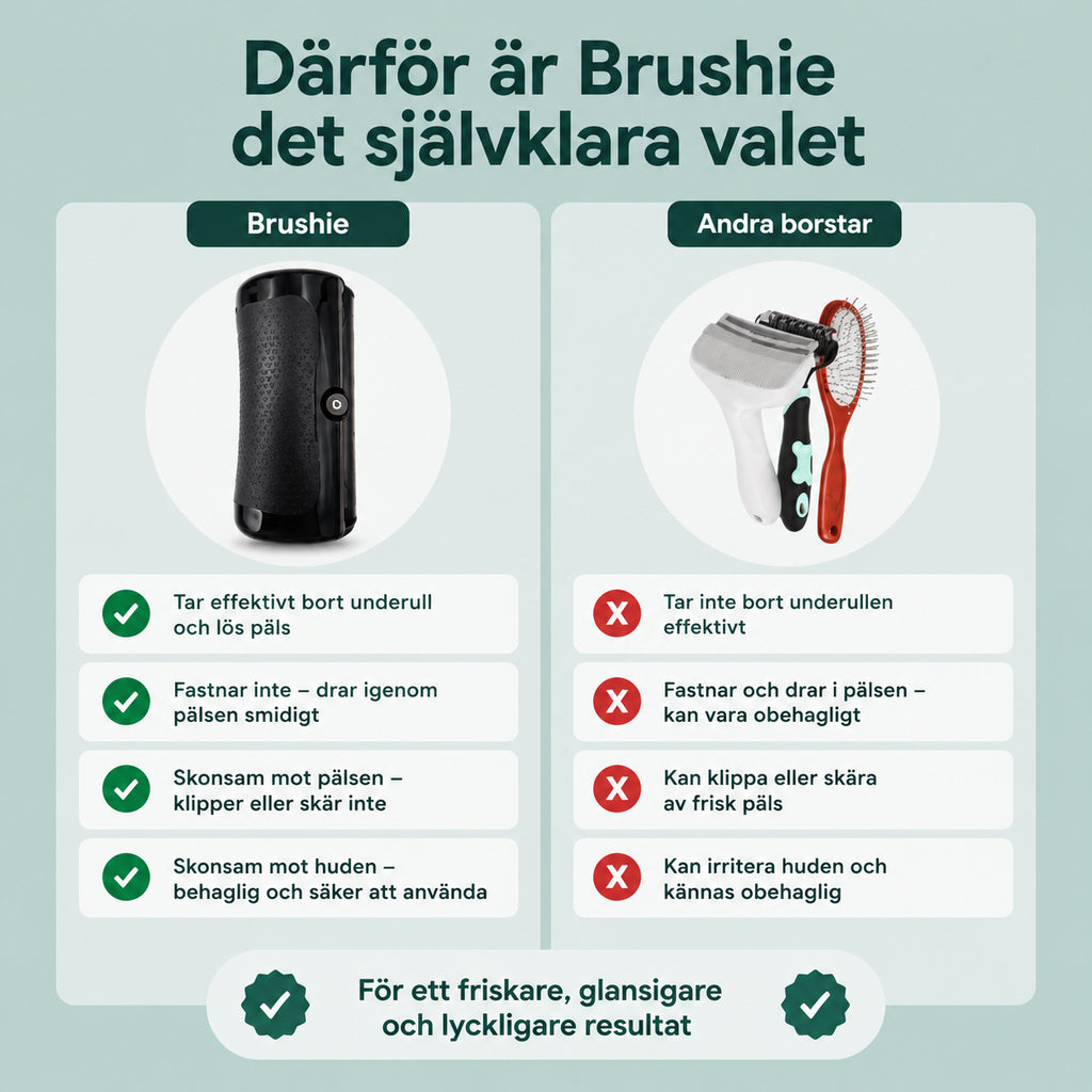 Brushie - För stillsamma och lugna borstningar