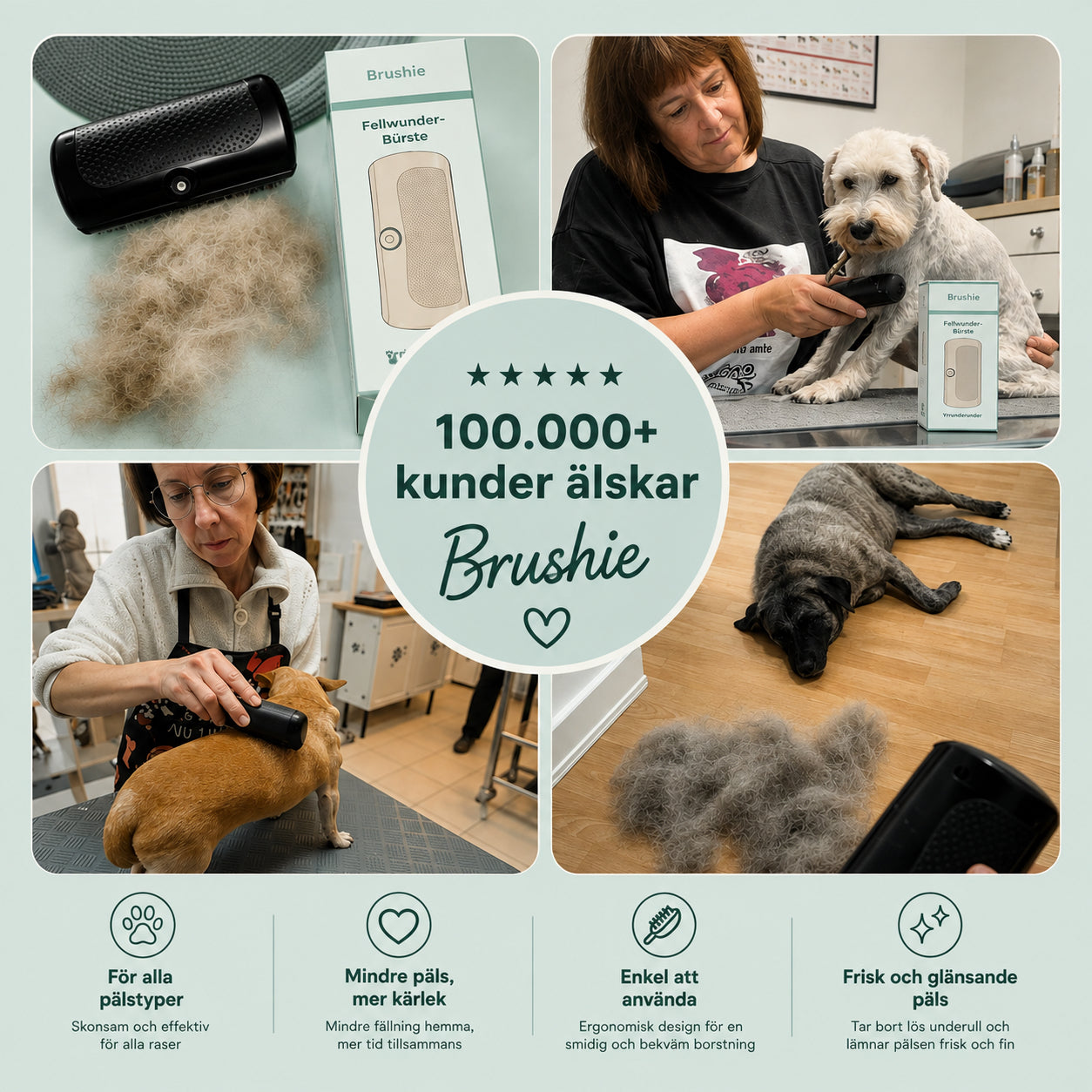 Brushie - För stillsamma och lugna borstningar