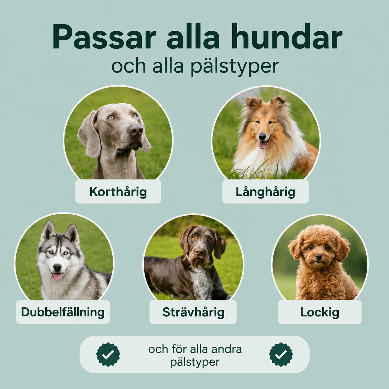 Brushie - För stillsamma och lugna borstningar